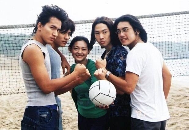 METEOR GARDEN (2001) – CHINESE TV SERIES DVD BOX SET (1-29 EPS) SHIP FROM US