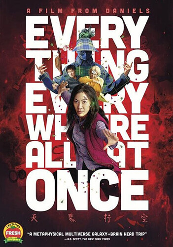 Everything Everywhere All at Once (DVD, 2022) The Disc Only RdBX E510