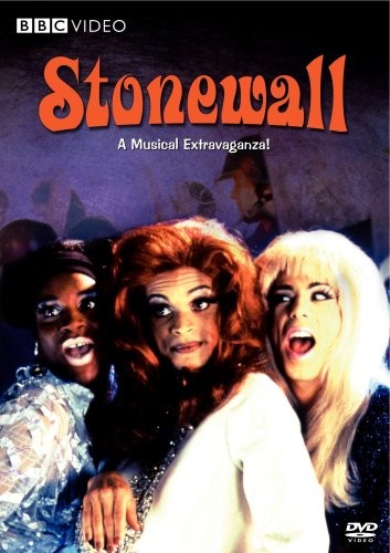 Stonewall (1995) – DVD By Various – GOOD