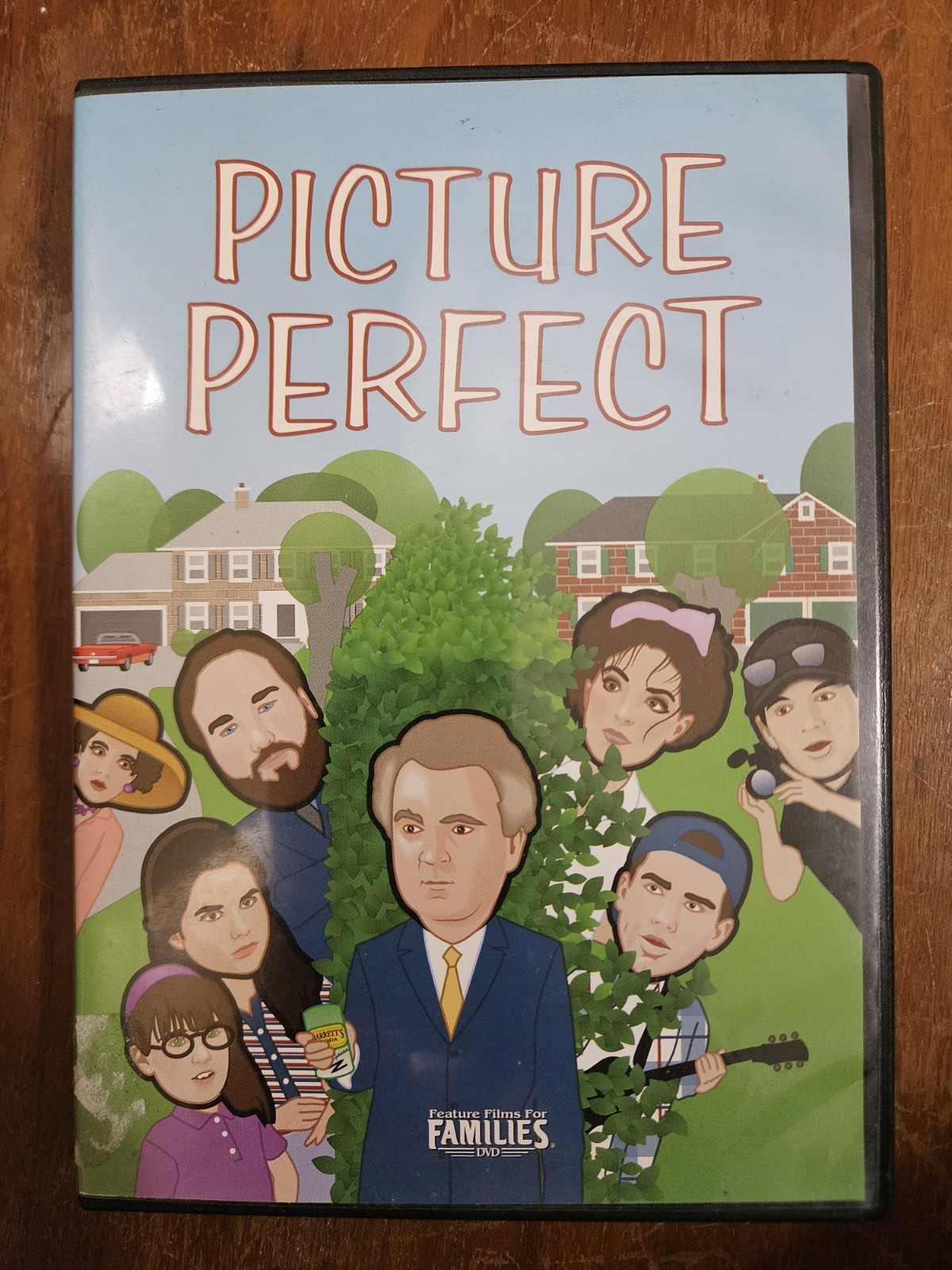 PICTURE PERFECT DVD – Richard Karn of Home Improvment Feature Films For Families