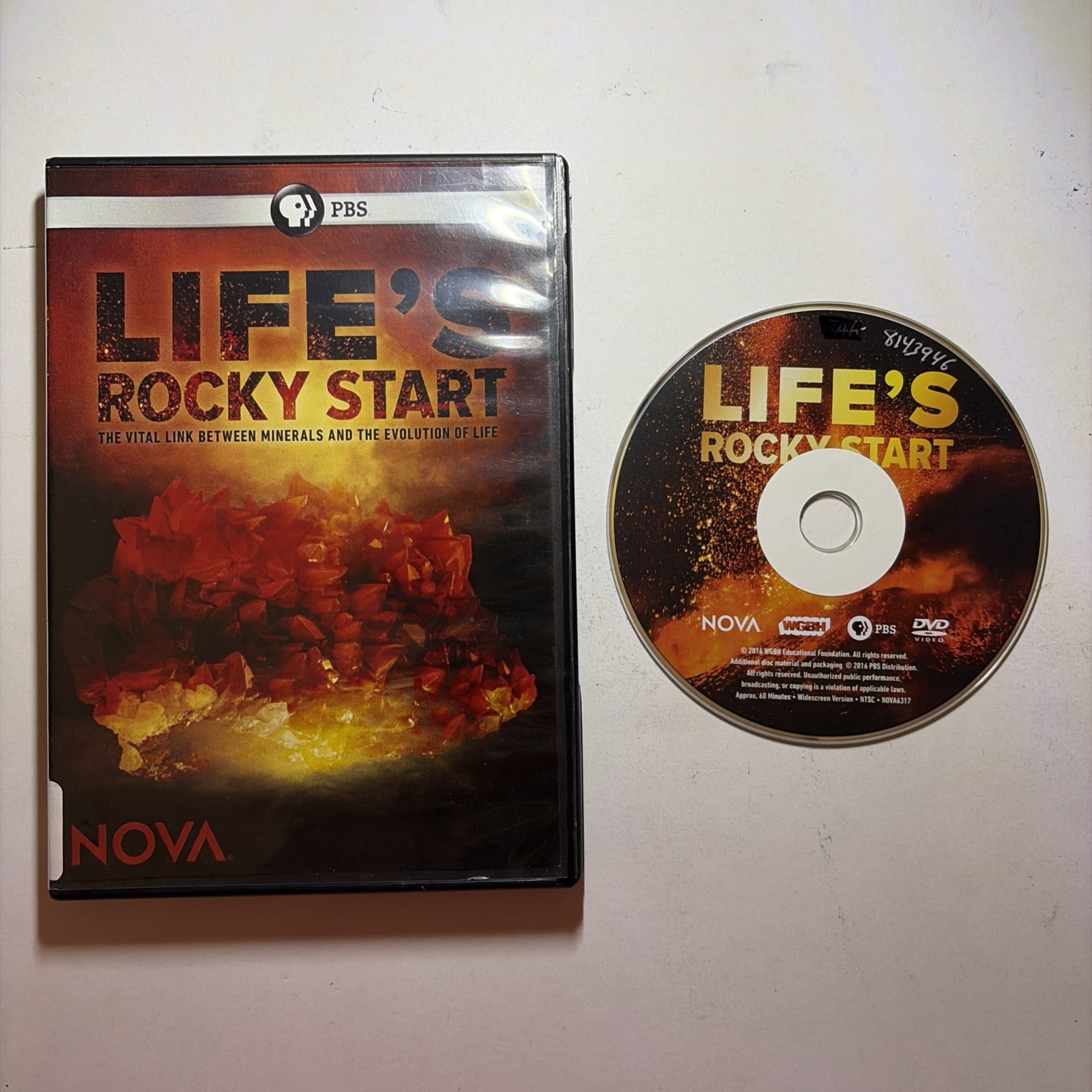 NOVA: Lifes Rocky Start – DVD PBS