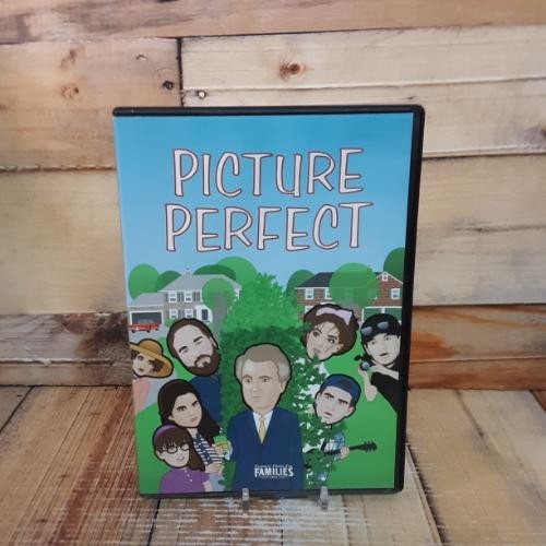 Picture Perfect DVD Used Comedy Family Indie Film Relationships Drama