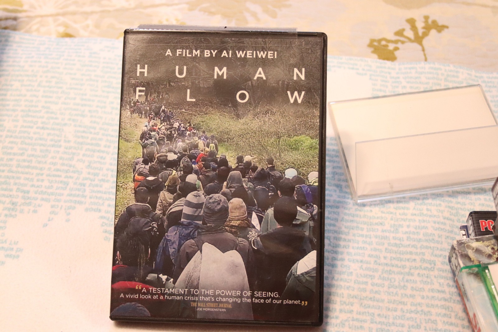 Human Flow: A film by Ai Weiwei (Screen Media Films/ DVD 2017
