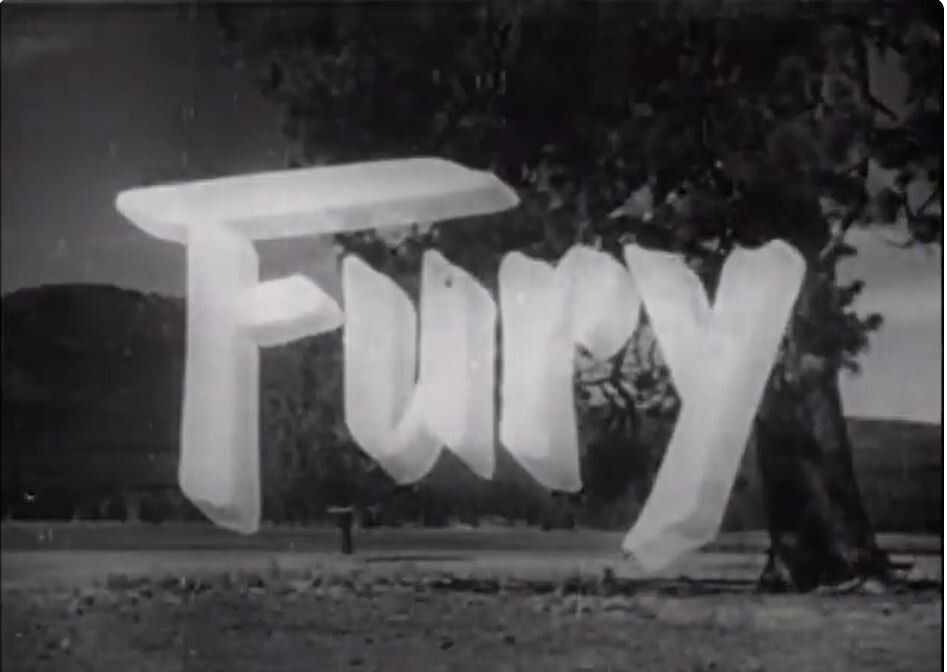 FURY TV SERIES 114 EPISODES ON 19 DVDS