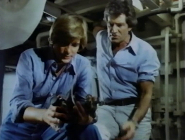 TV Movie: CRUISE INTO TERROR (1978)