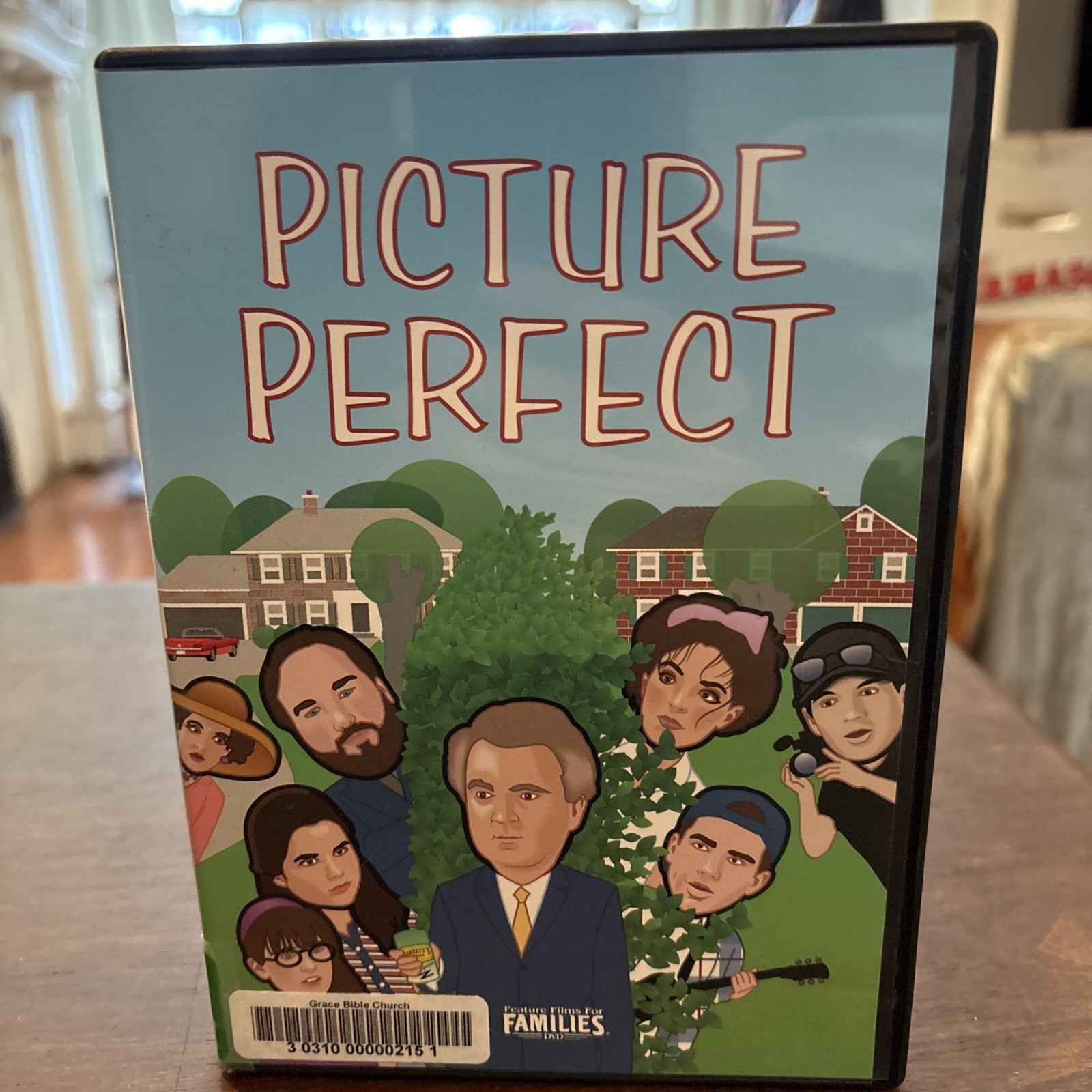 Picture Perfect DVD Used Comedy Family Indie Film Relationships Drama M4