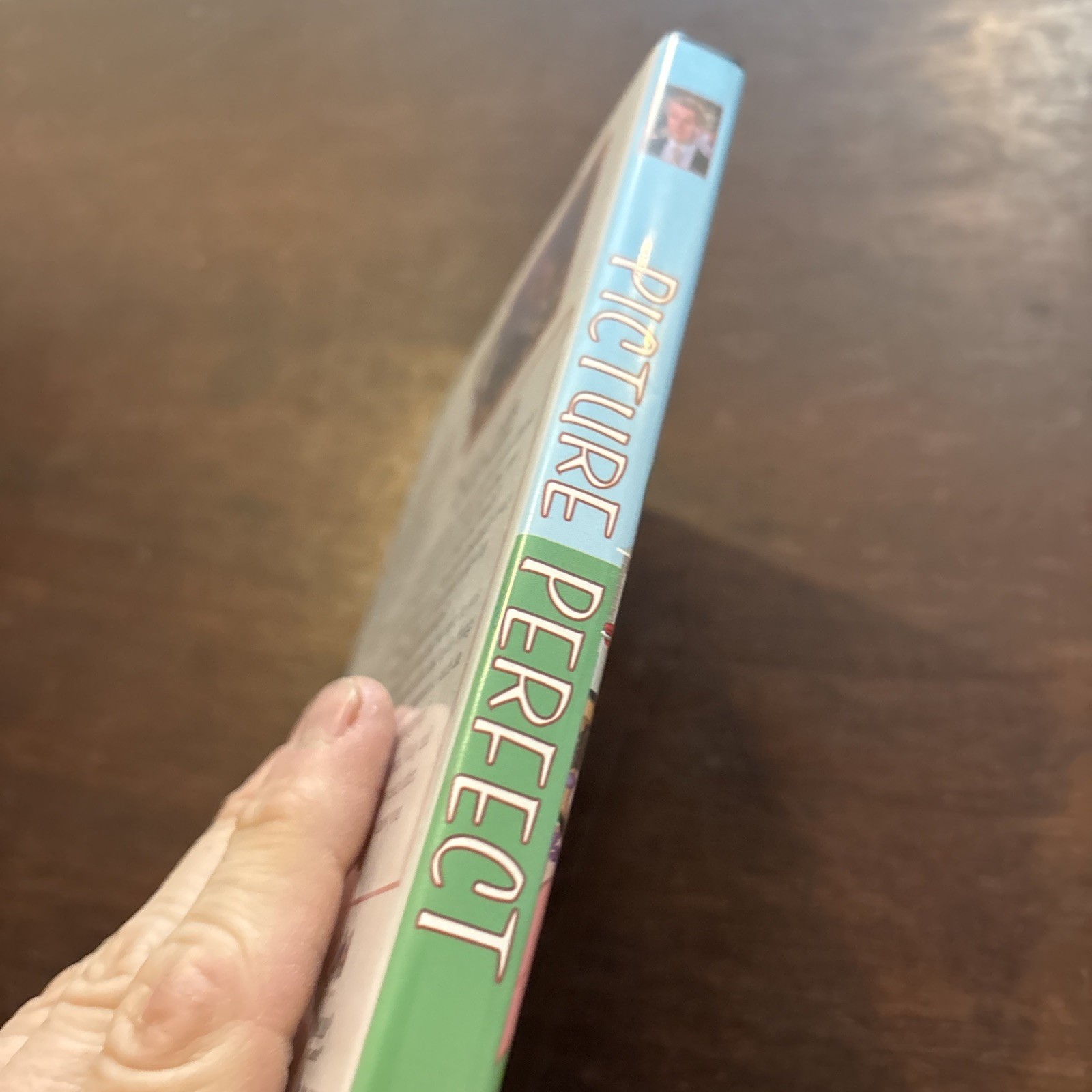 Picture Perfect DVD Used Comedy Family Indie Film Relationships Drama M4