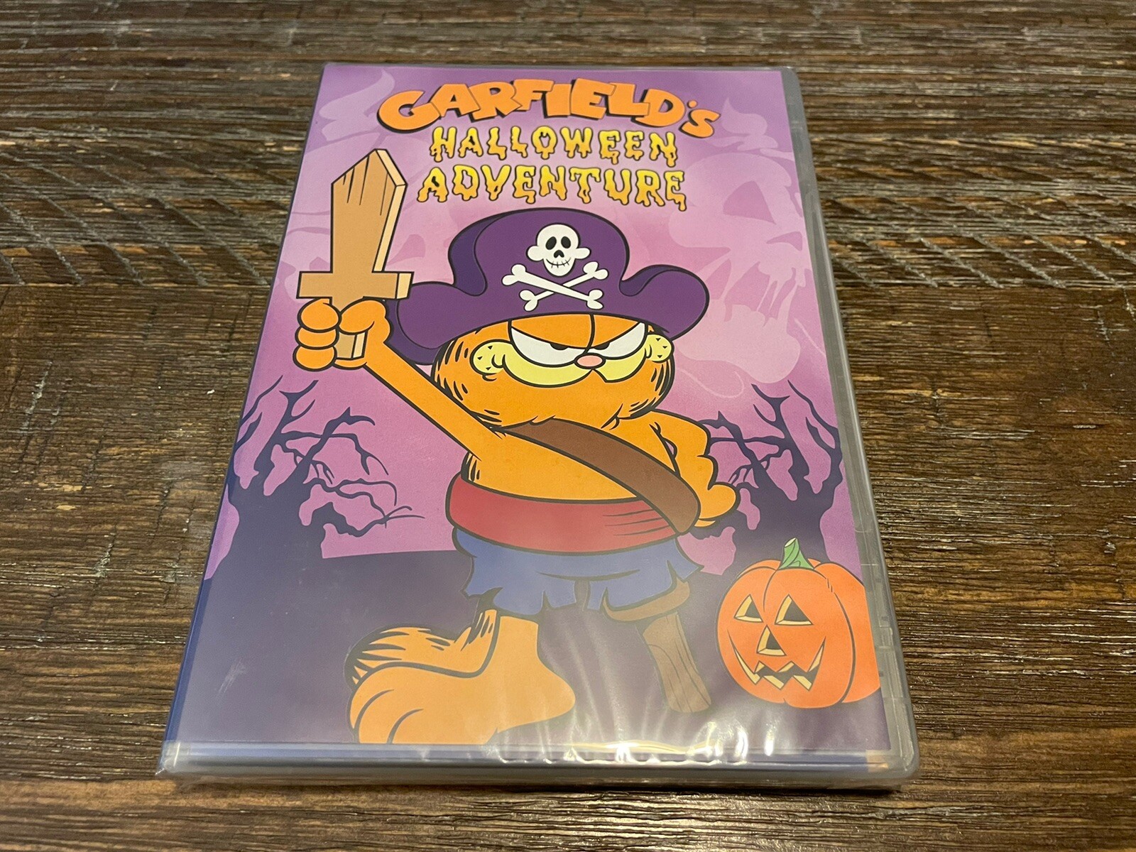 Garfield’s Halloween Adventure (1985) (DVD, PBS (Direct), 2018)