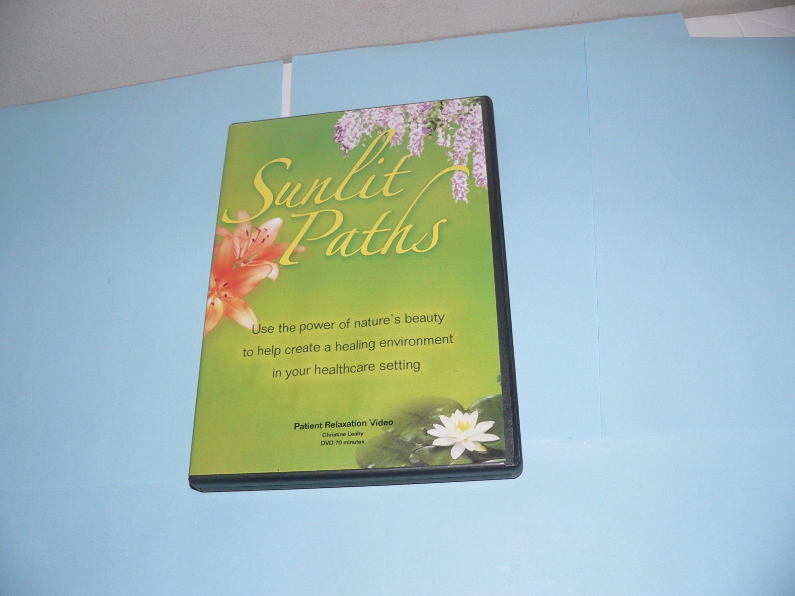 Sunlit Path DVD Patient Relaxation Video Christine Leahy RARE HTF