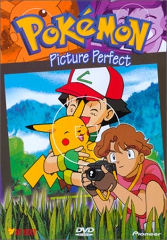 Pokemon – Picture Perfect (Vol. 17)