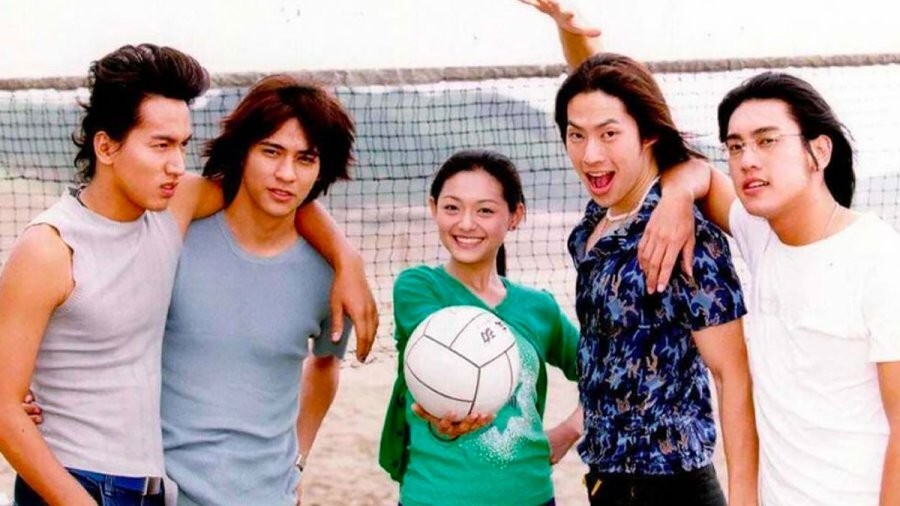 METEOR GARDEN (2001) – CHINESE TV SERIES DVD BOX SET (1-29 EPS) SHIP FROM US