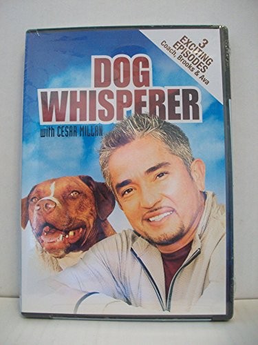 Screen Media DVD quotDog Whisp – GOOD