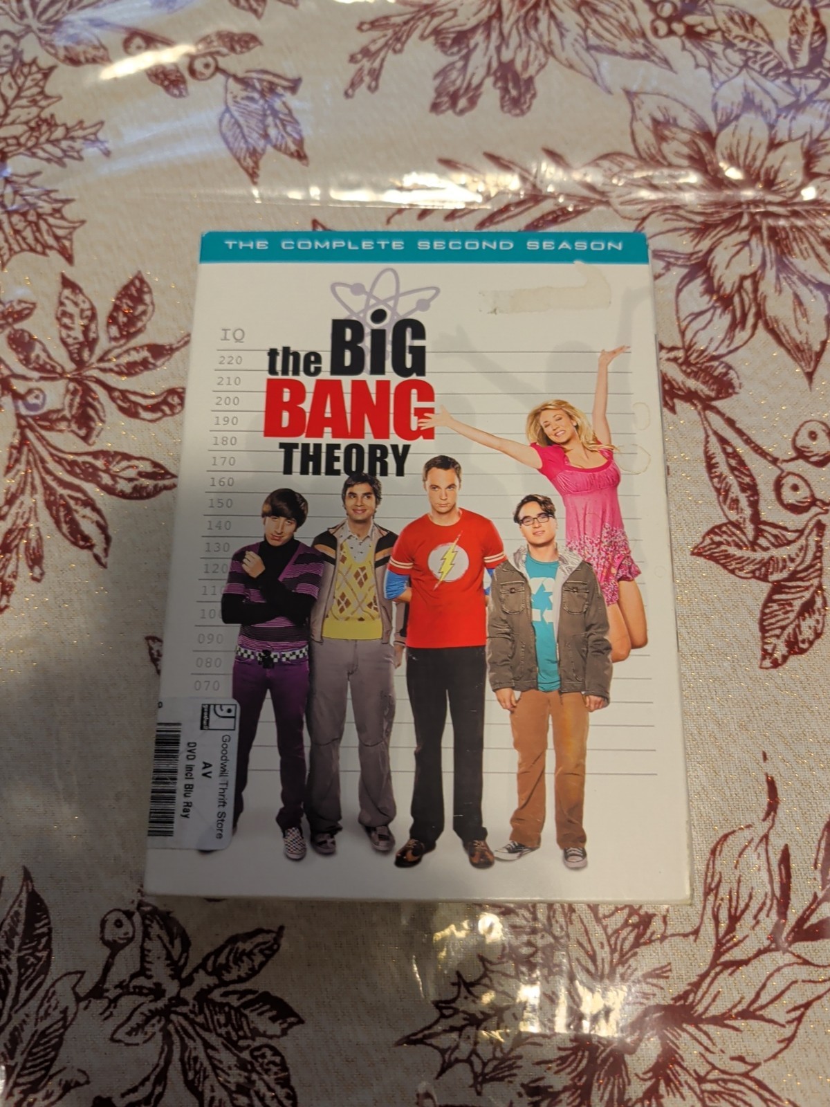 The Big Bang Theory: the Complete Second Season (DVD, 2008)