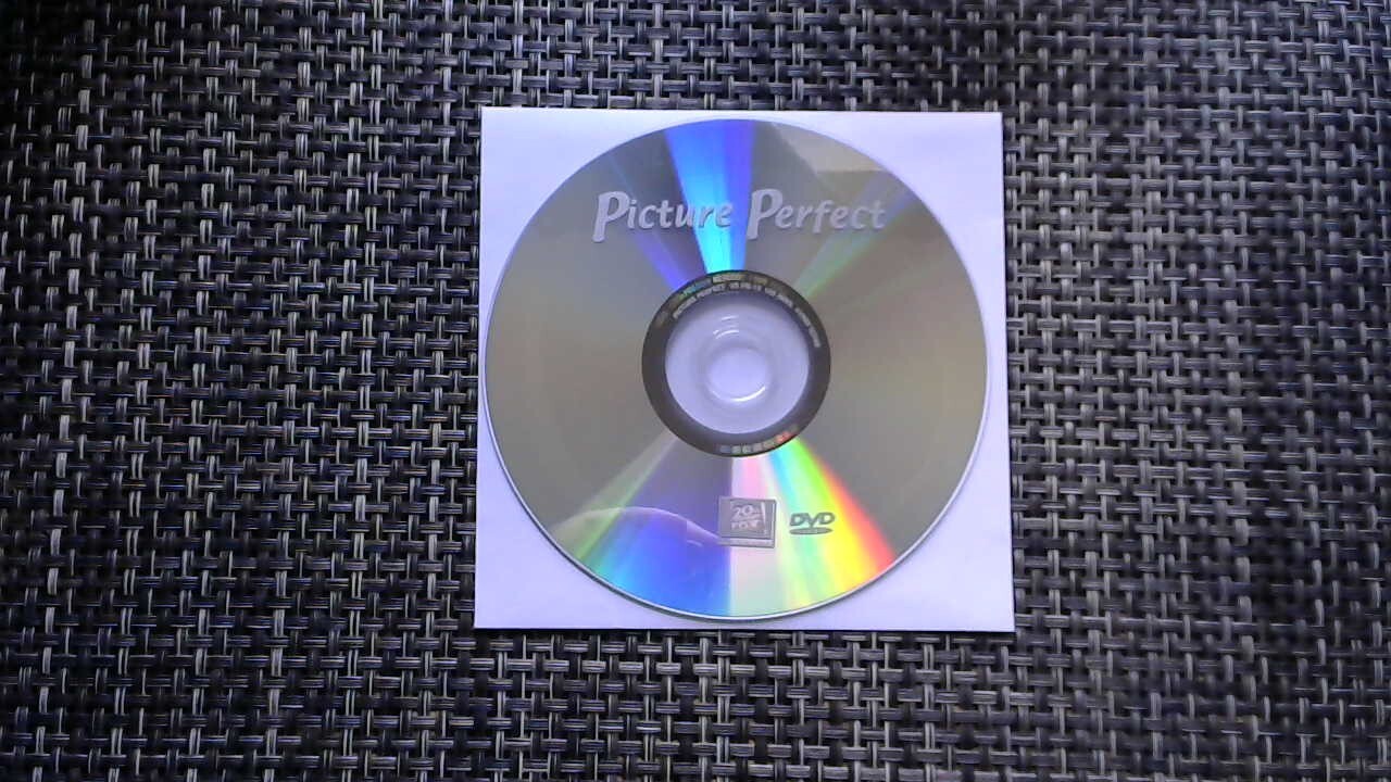 Picture Perfect (DVD, 2000)